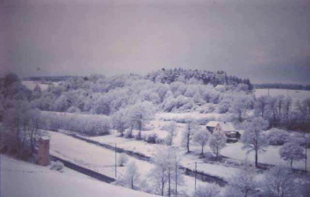 view outside my window in Vilseck, Germany